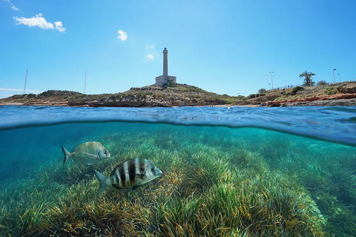 Cabo de Palos lighthouse (Murcia)