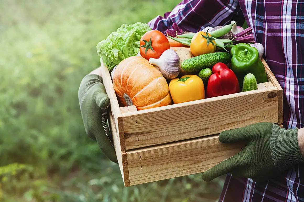 Apoya a pequeños agricultores sostenibles