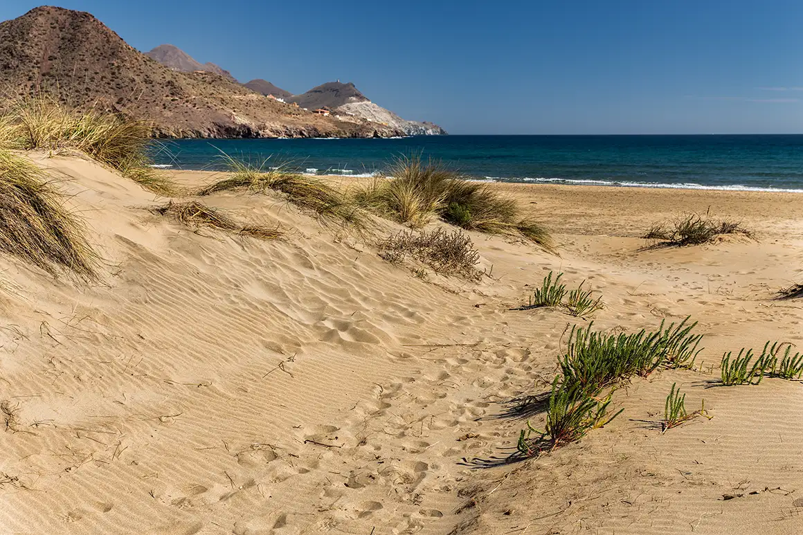 Playa de los Genoveses 