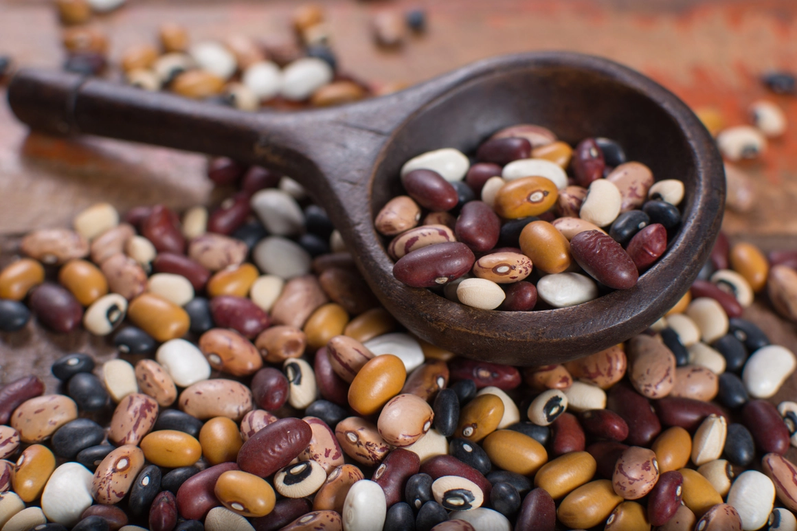 Legumbres