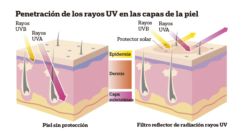 Penetración de los rayos UV
