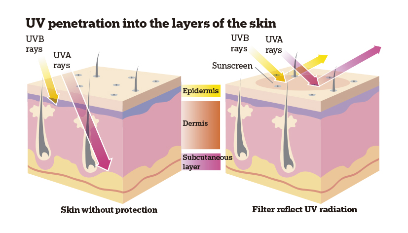 UV penetration