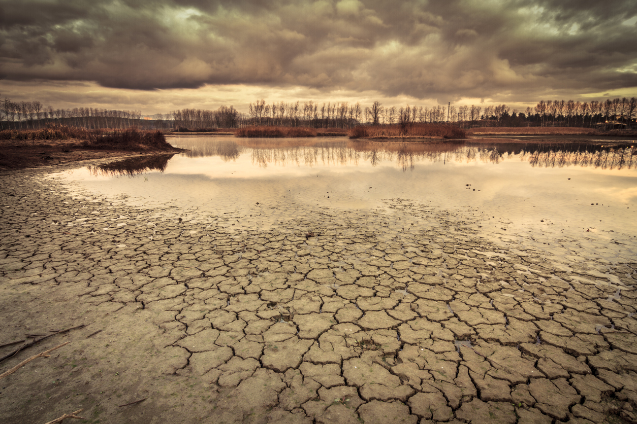 El impacto ambiental de la IA abre el debate del futuro del cambio climático