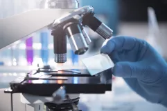 Currently, some public health problems such as cancer or cardiovascular and degenerative diseases have become the main reasons for admission to hospitals.