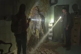 ¿Sabías que el ‘Cordyceps’, el famoso hongo  de ‘The Last of Us’, sí existe?
