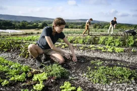 ¿Qué es la agricultura regenerativa?
