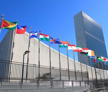 La Asamblea de la Organización de las Naciones Unidas (ONU)