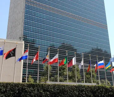 Naciones Unides declara el 2025 com l'Any Internacional de les Cooperatives