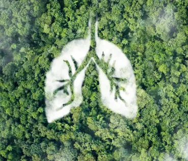 ¿Qué respiran nuestros pulmones?