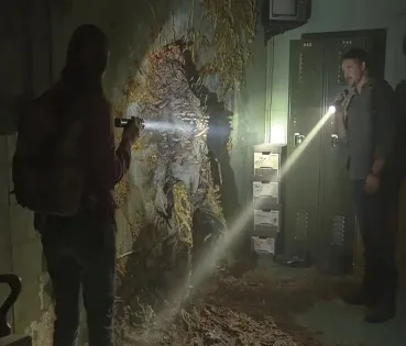 ¿Sabías que el ‘Cordyceps’, el famoso hongo  de ‘The Last of Us’, sí existe?