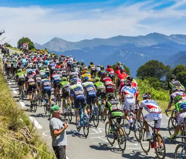 Cyclists participating in the Tour de France.