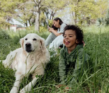 Imagen promocional del seguro ASISA Mascotas RC.