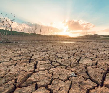 L’ecoansietat és la preocupació pel futur del medi ambient.