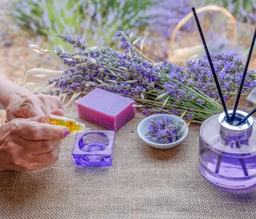 Nowadays, there are many natural and ecological alternatives that allow you to keep your home clean, disinfected and free from bad odours. 