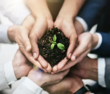 Els drets ambientals són el conjunt de principis i normes que reconeixen el dret de les persones a viure en un entorn sa, equilibrat i sostenible.