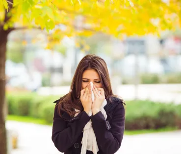 La rinitis alérgica se confunde fácilmente con la sinusitis, que, en ocasiones, suele venir precedida por la rinitis como consecuencia de la congestión nasal.