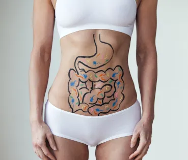 En el nostre intestí habiten bilions de microorganismes que contribueixen a mantenir la nostra salut i conformen la microbiota intestinal.