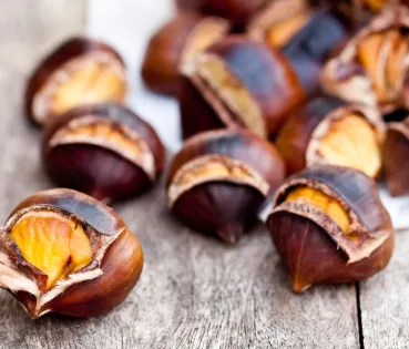 Freshly roasted chestnuts with a golden interior