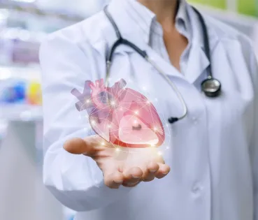 Mentre el múscul cardíac rebi oxigen i nutrients, es continuarà contraient per si sol, sense connexió al sistema nerviós central. 