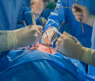 To date, around twenty xenotransplants have already been carried out worldwide, almost all of an experimental nature. 