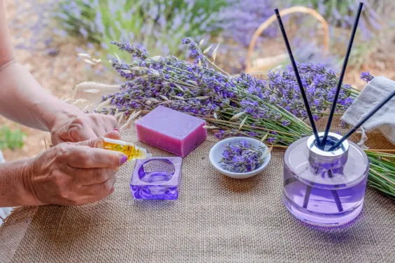 Nuestro día a día está rodeado de sustancias químicas que inhalamos constantemente y que pueden afectar negativamente a la salud. 