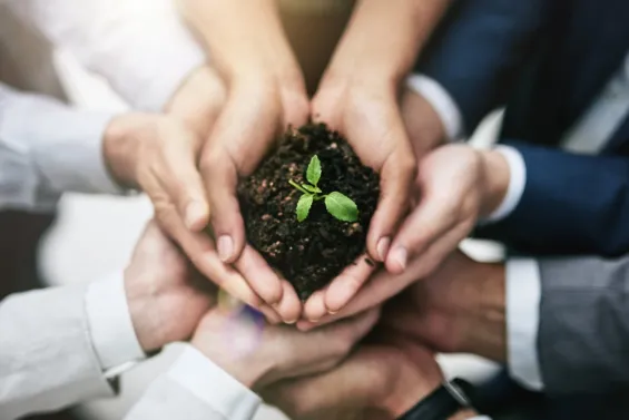 Environmental rights are the set of principles and rules that recognise individuals’ right to live in a healthy, balanced, and sustainable environment.