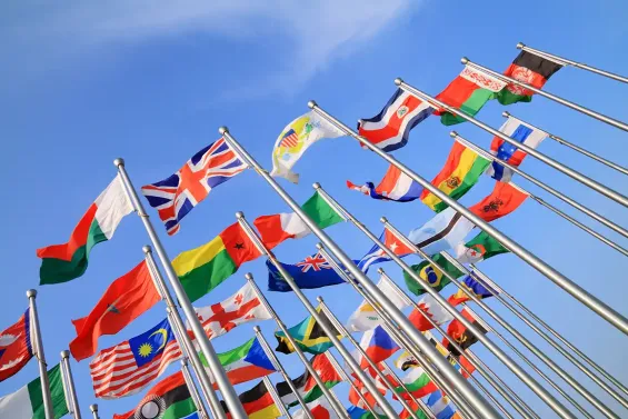 The exclusion and lack of consensus over oil, coal and natural gas have sparked tensions among more than 80 countries supporting a sustainable energy transition.