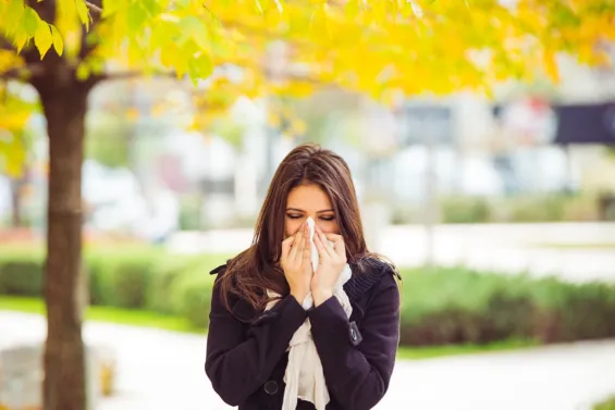 La rinitis alérgica se confunde fácilmente con la sinusitis, que, en ocasiones, suele venir precedida por la rinitis como consecuencia de la congestión nasal.