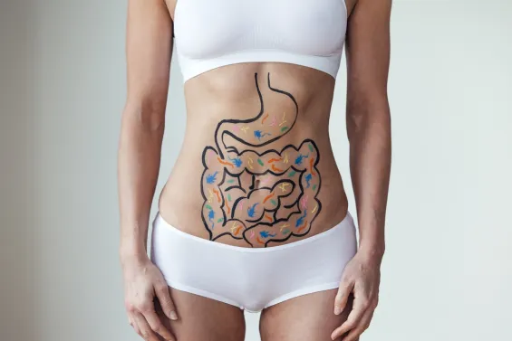 En nuestro intestino habitan billones de microorganismos que contribuyen a mantener nuestra salud y conforman la microbiota intestinal.