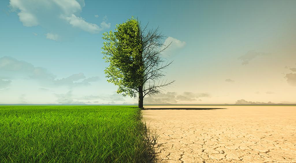 Cambio climático