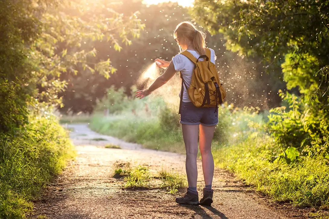 How to know which insect has stung you