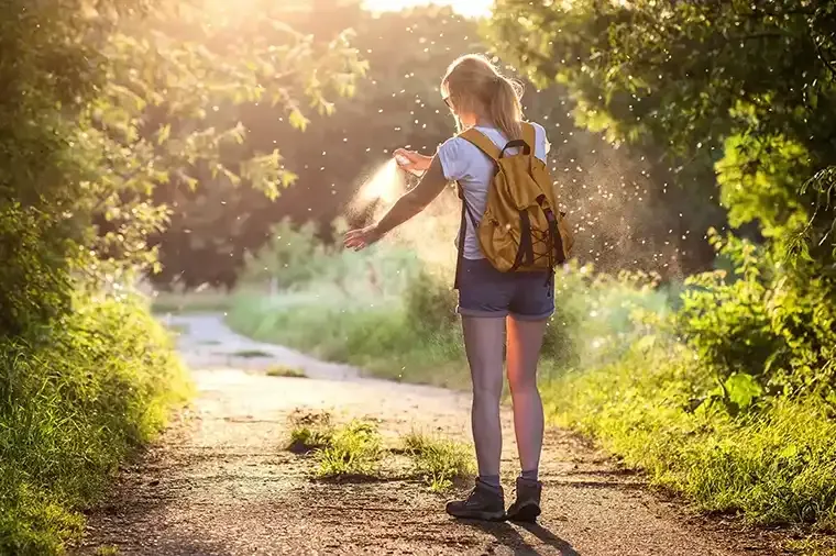 How to know which insect has stung you