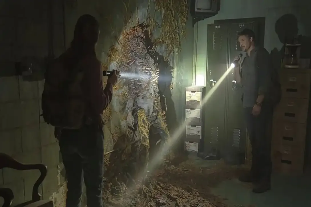 ¿Sabías que el ‘Cordyceps’, el famoso hongo de ‘The Last of Us’, sí existe?