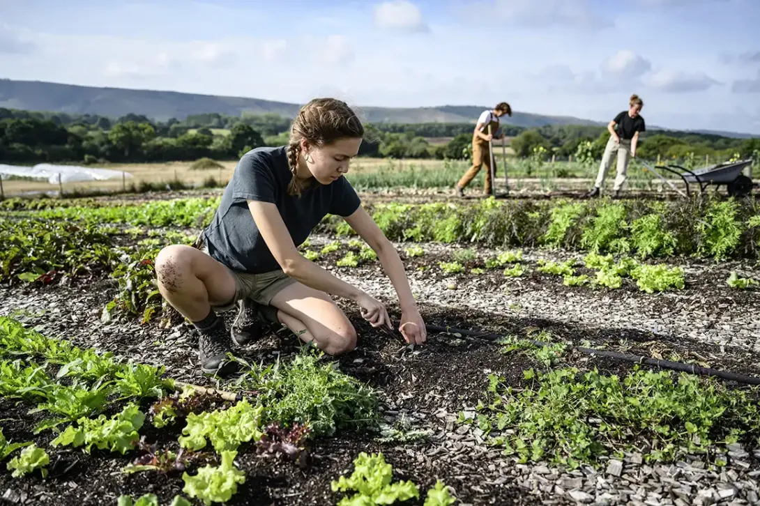 ¿Qué es la agricultura regenerativa?