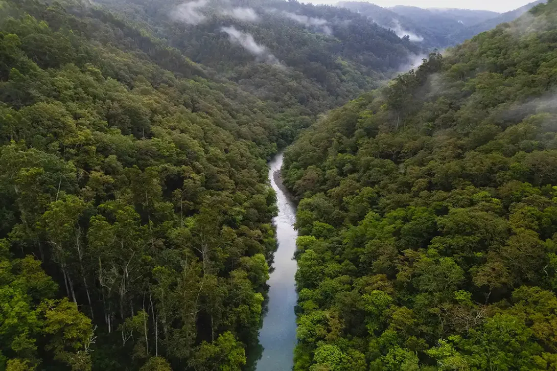 Bosques para recibir el otoño