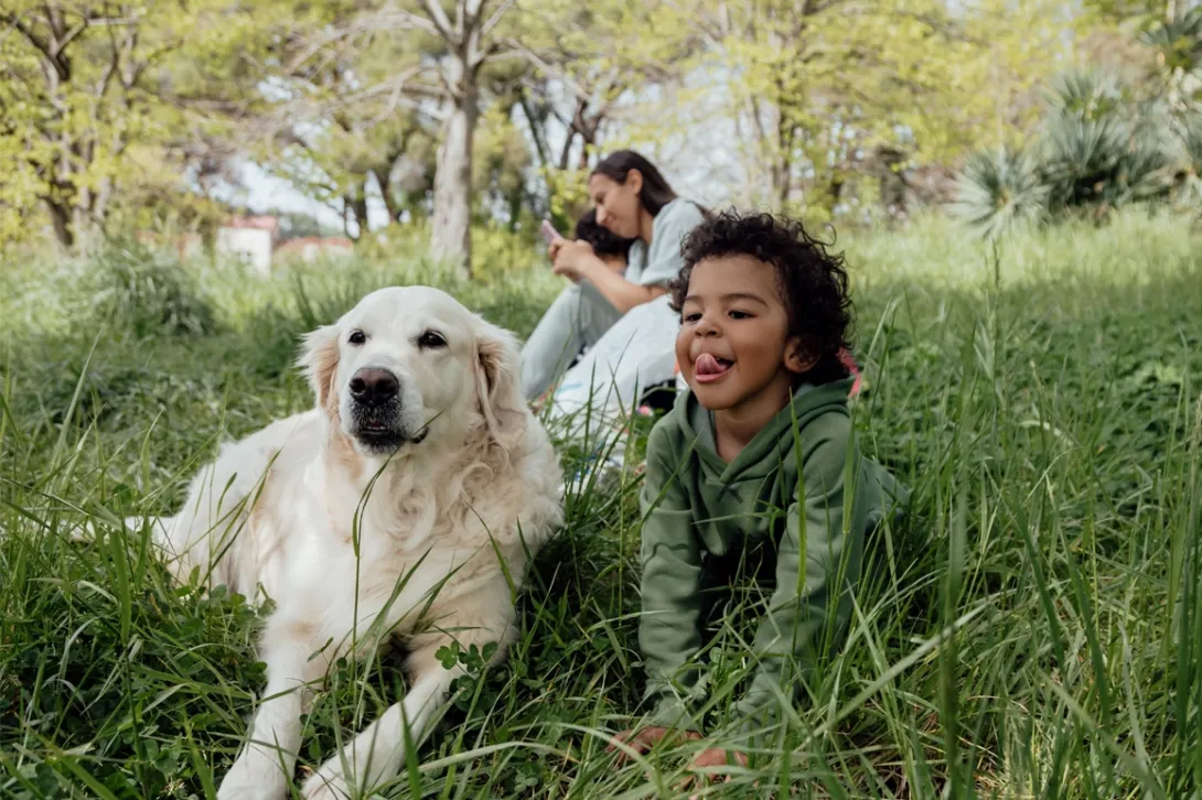 Imagen promocional del seguro ASISA Mascotas RC.