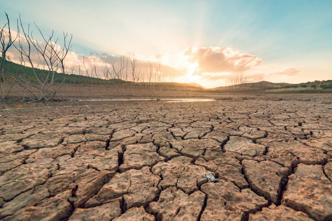 Ecoansiedad es la preocupación por el porvenir del medioambiente