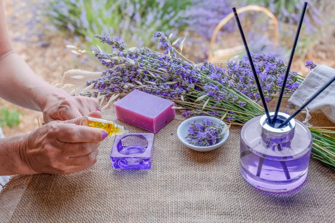 Nowadays, there are many natural and ecological alternatives that allow you to keep your home clean, disinfected and free from bad odours. 