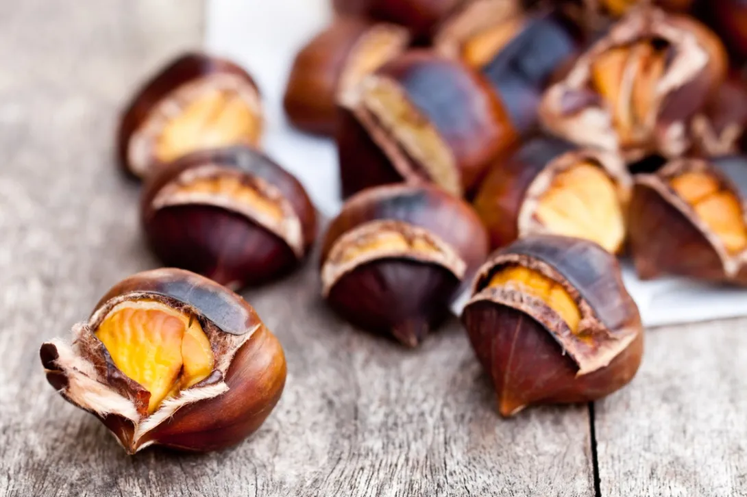 Freshly roasted chestnuts with a golden interior