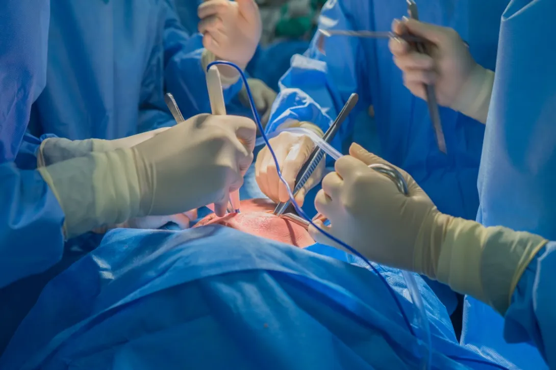 To date, around twenty xenotransplants have already been carried out worldwide, almost all of an experimental nature. 